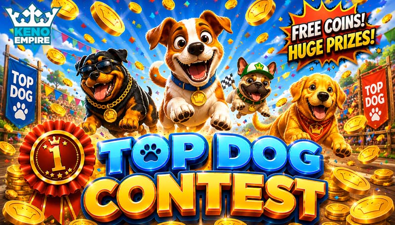 ⭐🐶TOP DOG CONTEST!🐶⭐